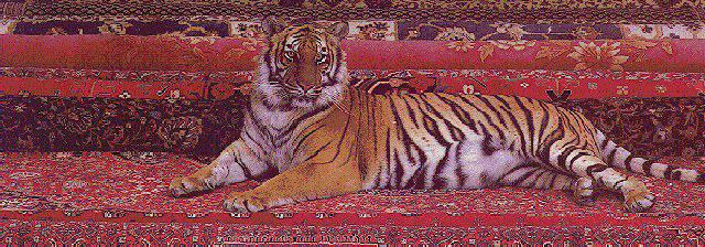 TIGRE